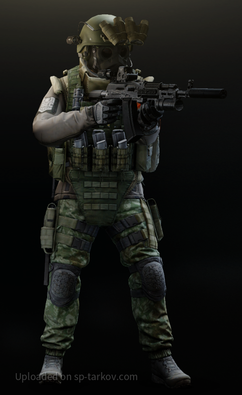 BEAR or USEC?