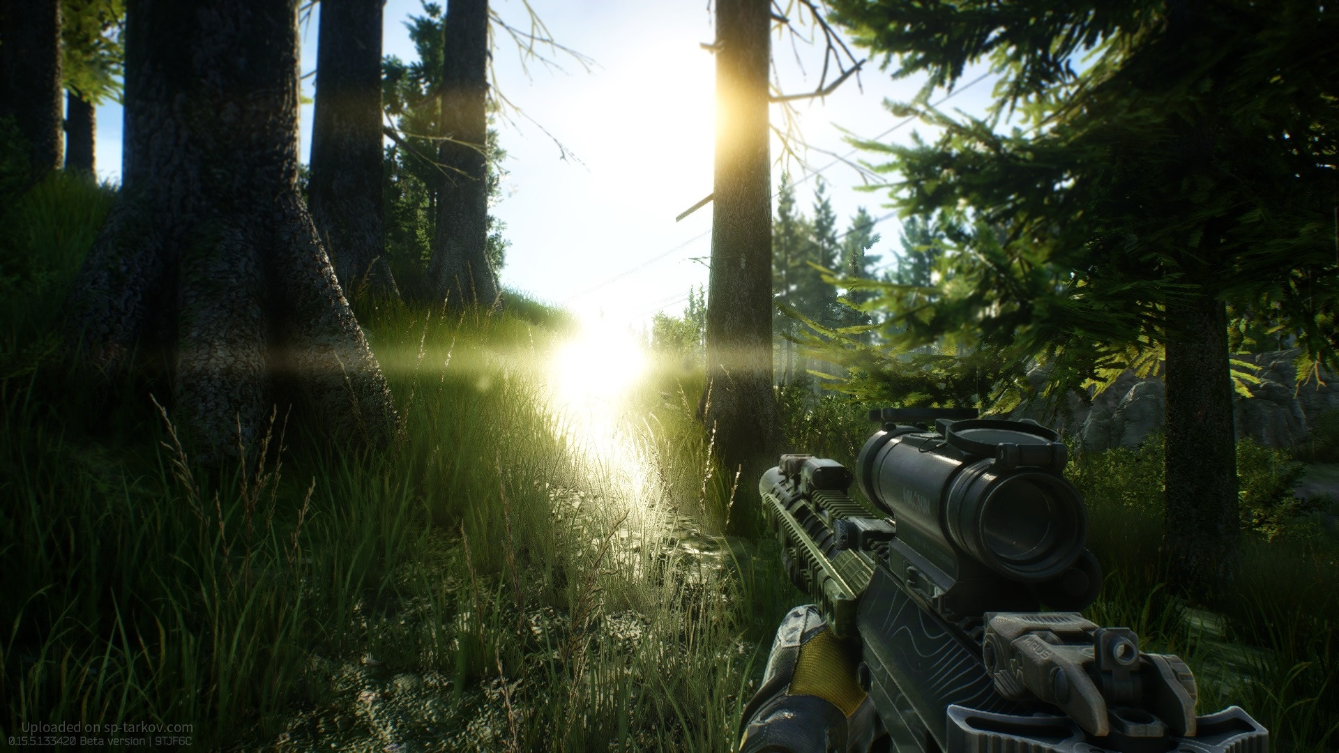 EscapeFromTarkov_2024_11_22_18_00_36_729