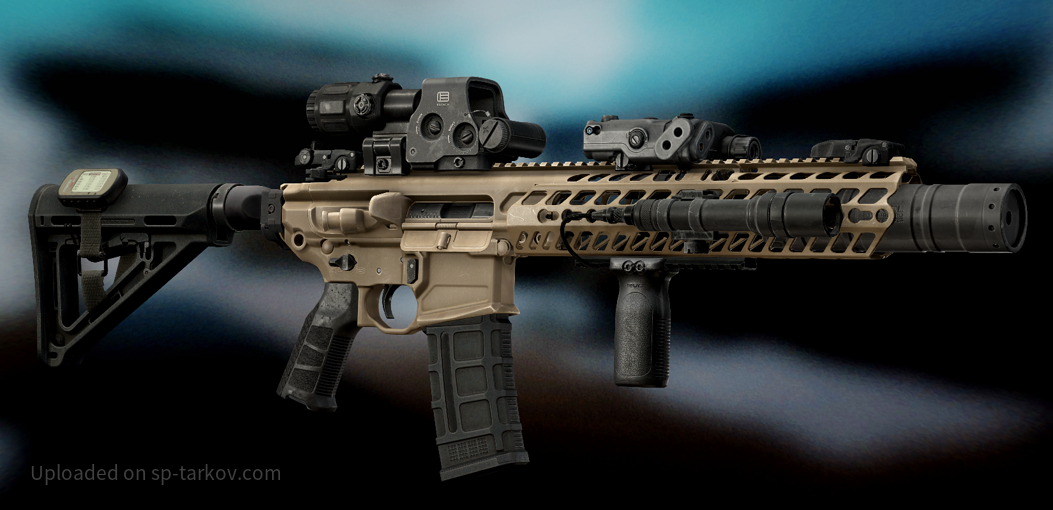 Sig MCX .300