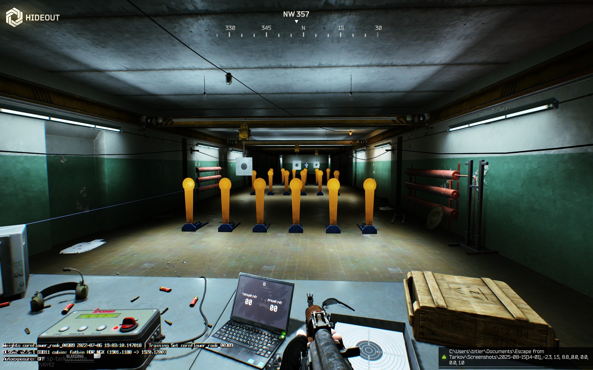 custom weapon stance config