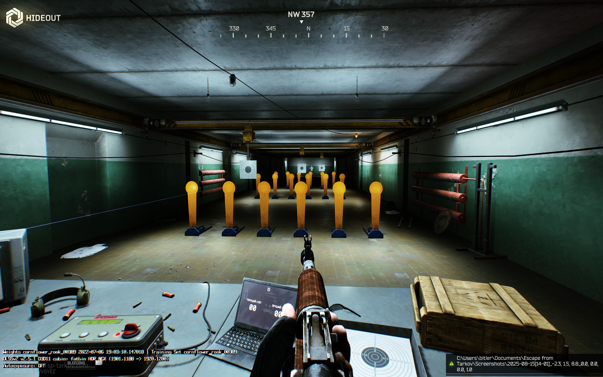 custom weapon stance config