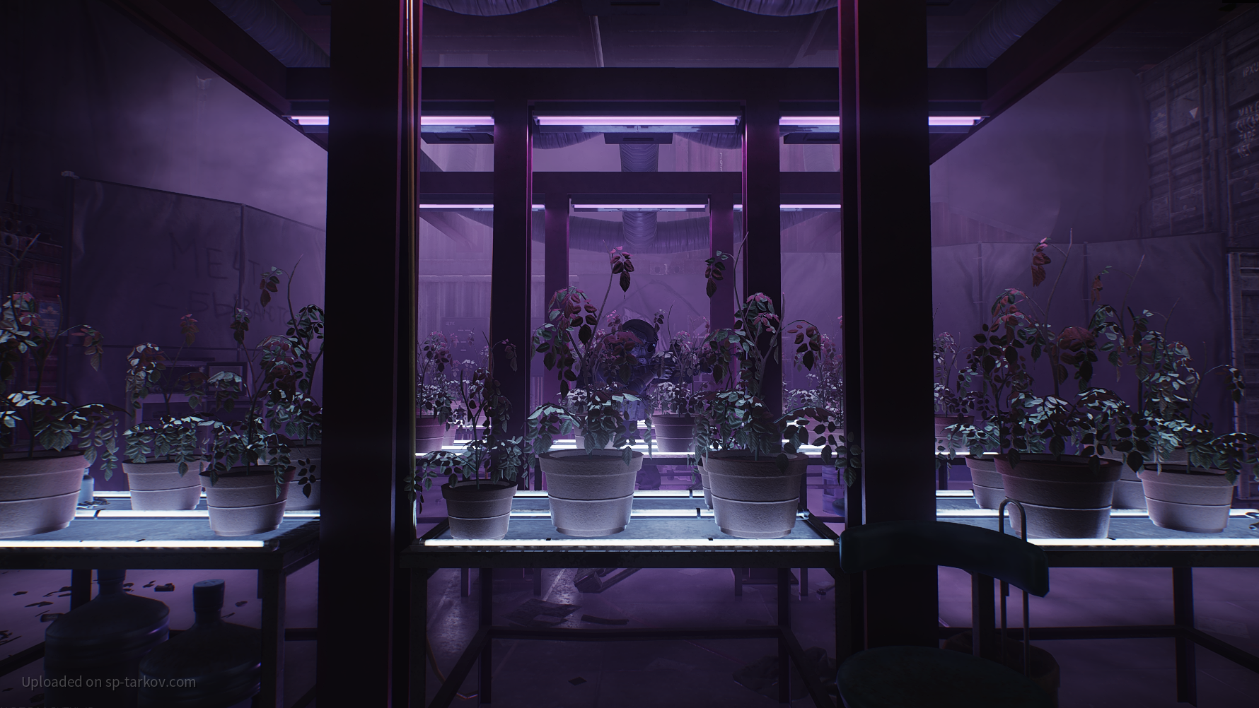 The Grow Room