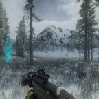 WINTER CC
