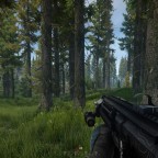 BACK TO EFT