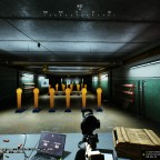 custom weapon stance config